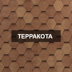 vest-terrakota